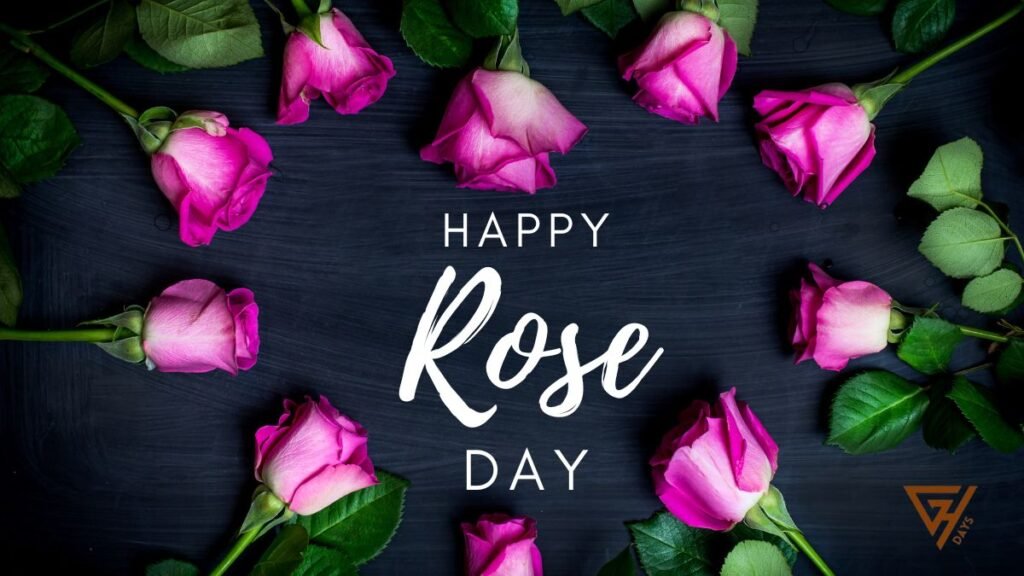 Happy Rose Day Wishes Image